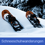 Schneeschuhwanderungen